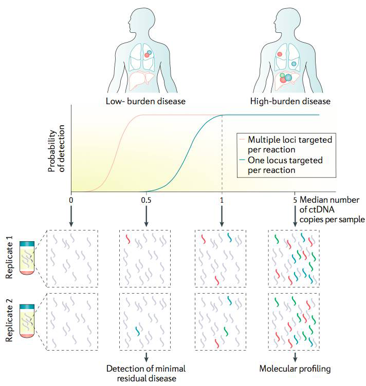 图5：ctDNA分析中重要事项，图来自Nature Reviews Cancer doi:10.1038/nrc.2017.7